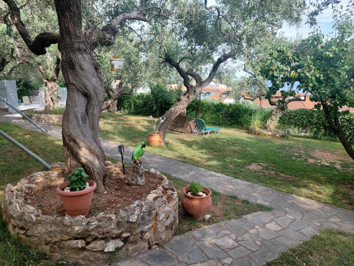 Nature Lovers-Golden Beach Chrisi Ammoudia Exterior foto